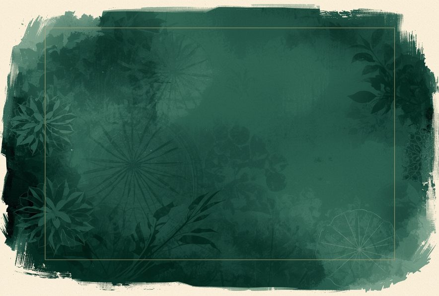 Misty forest in the mountains around Medellín