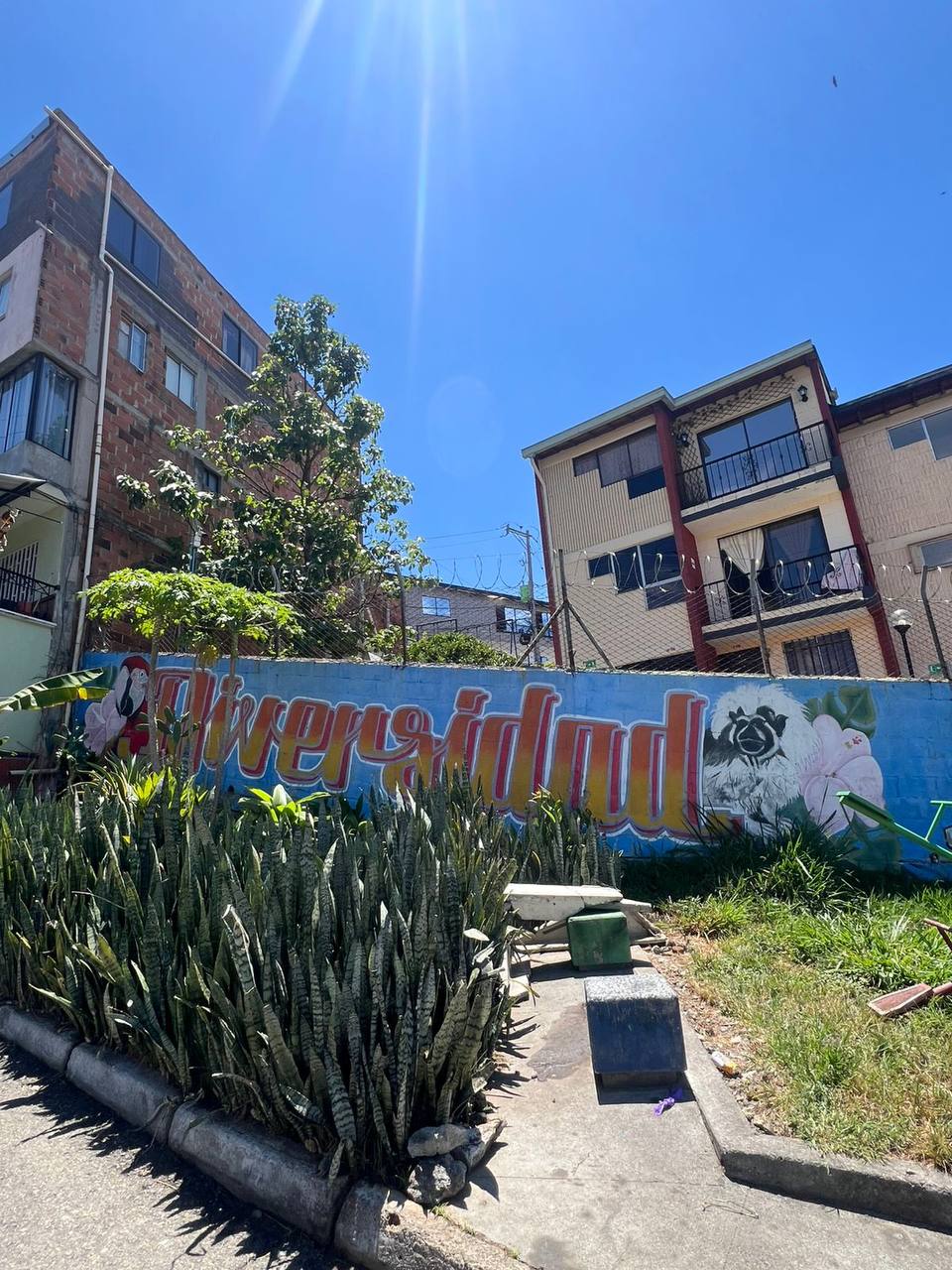 Neighborhood wall painted with the word Diversidad, a parrot, and a cotton-top tamarin